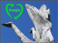 Profile picture for Wellingborough Freegle