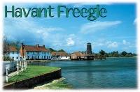 Profile picture for Havant Freegle