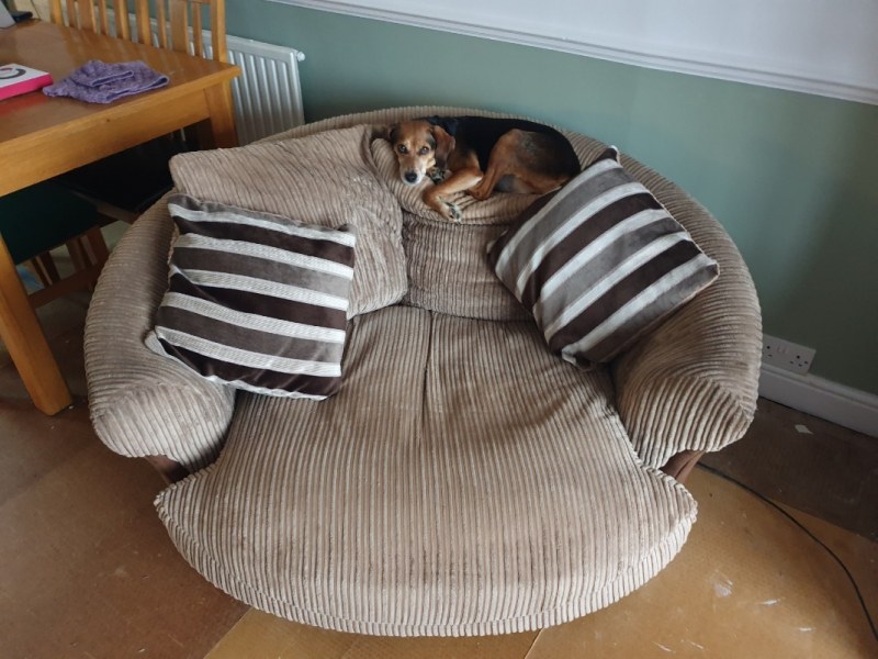 3 seater sofa, cuddle sofa, fo No cash offers. fire rated. beige fabric, brown faux leather inserts. sofa is cushion version. dog not included :-) E4 - removed for £0
